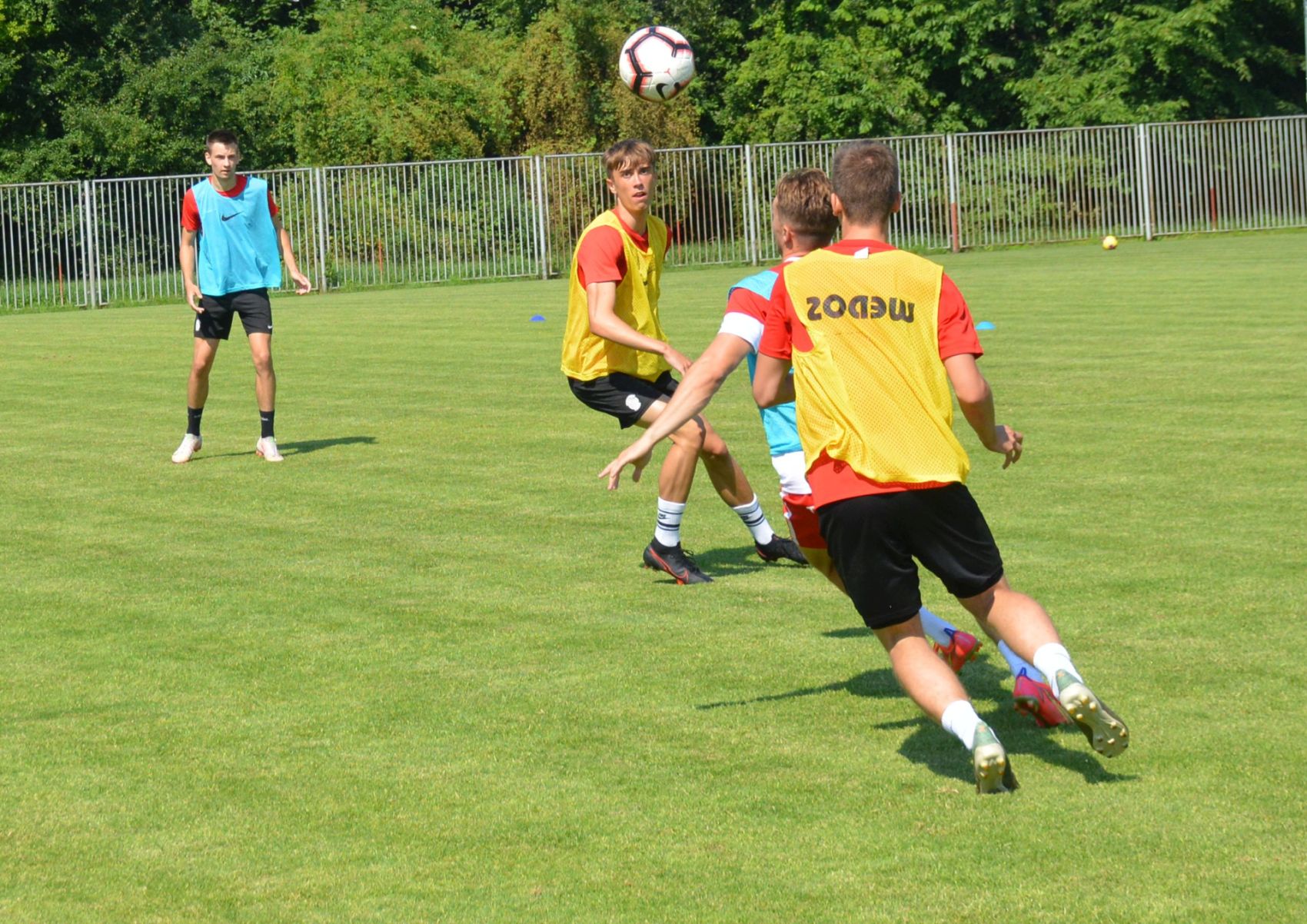 B��ko zv�t�zilo v gener�lce na h�i�ti Byst�ice