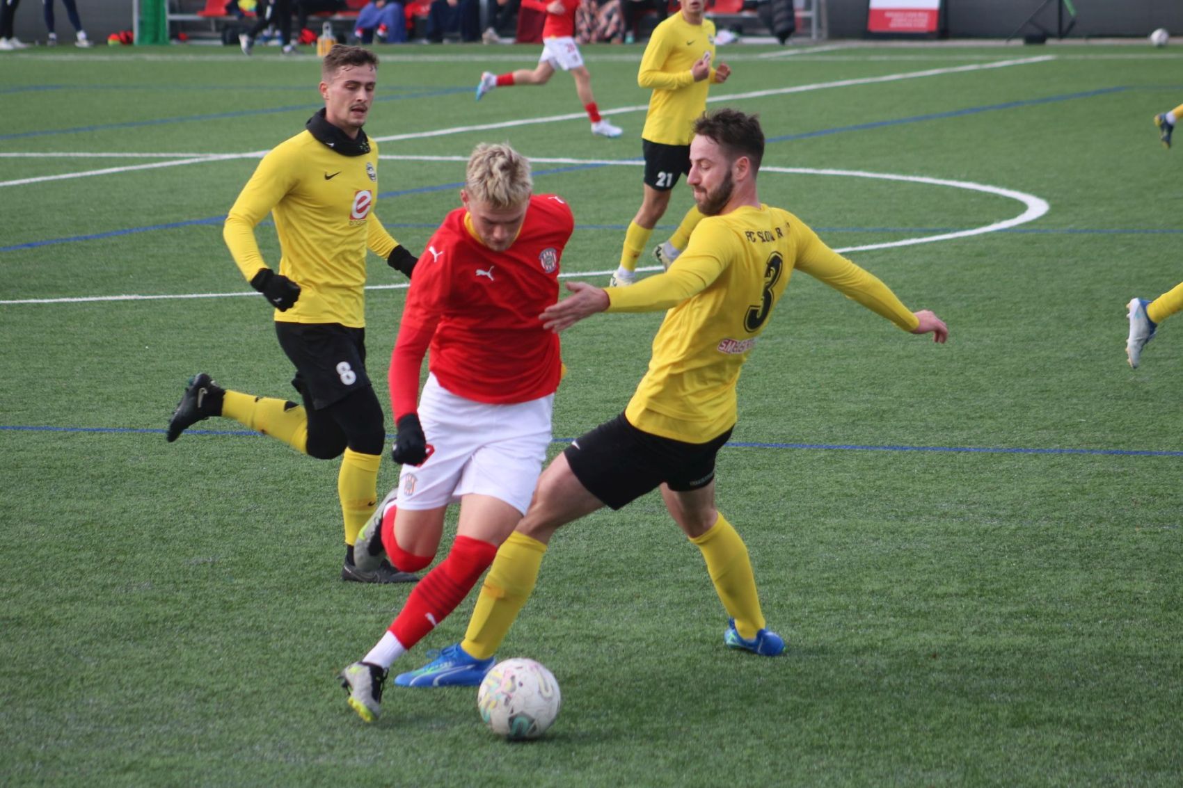 B��ko zv�t�zilo v Humpolci