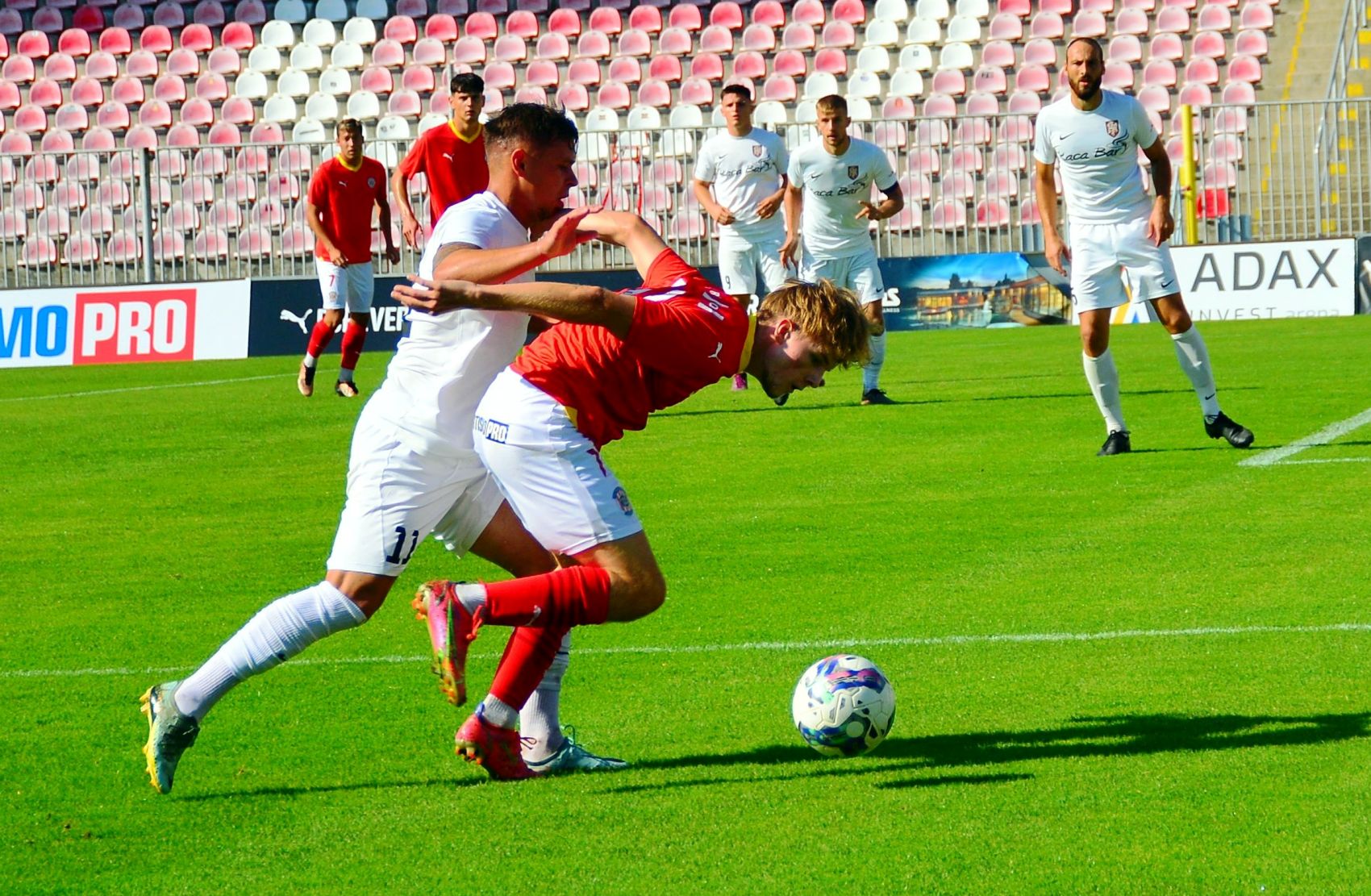 B��ko zv�t�zilo i ve Velk�m Mezi����