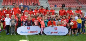 St�ede�n� n�bor se bl��! Pro� vybrat pr�v� Zbrojovku?