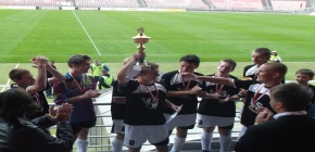 Jihomoravsk� poh�r m��� ze Srbsk� do Vesel�