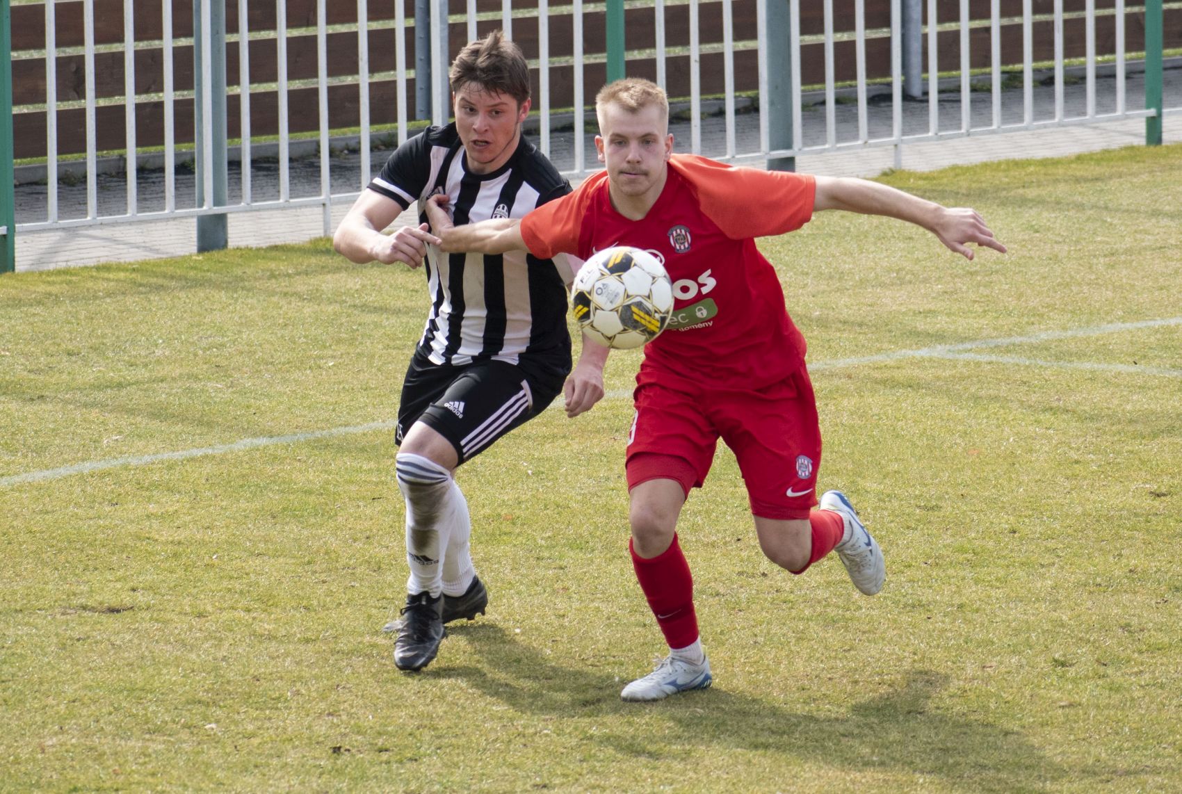 B��ko prohr�lo ve V�echovic�ch